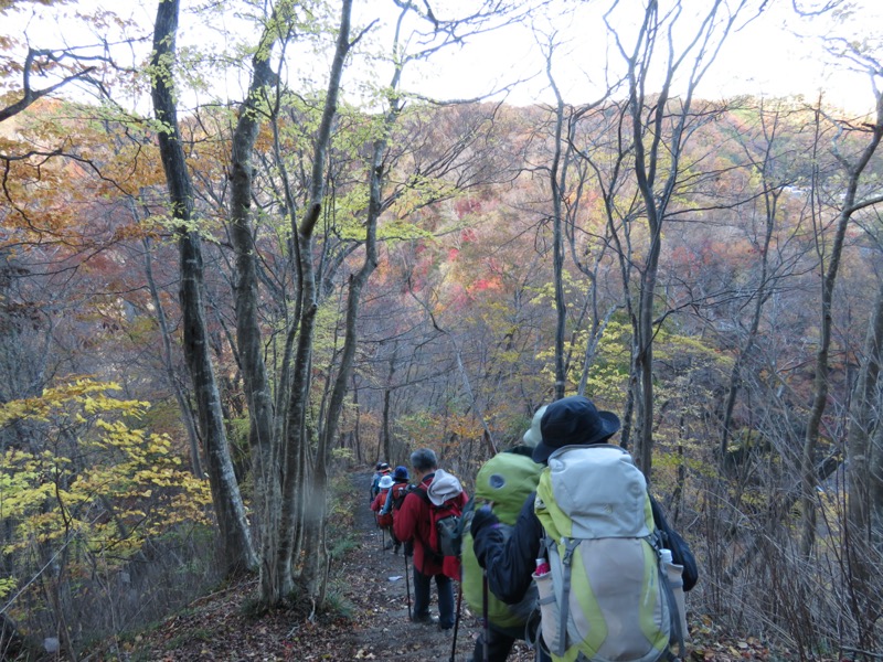 奥久慈・男体山